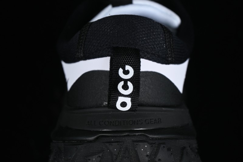 Nike ACG Mountain Fly 2 Low SP Outdoor Hiking Shoes with GORE-TEX and React Foam - FZ3311-101