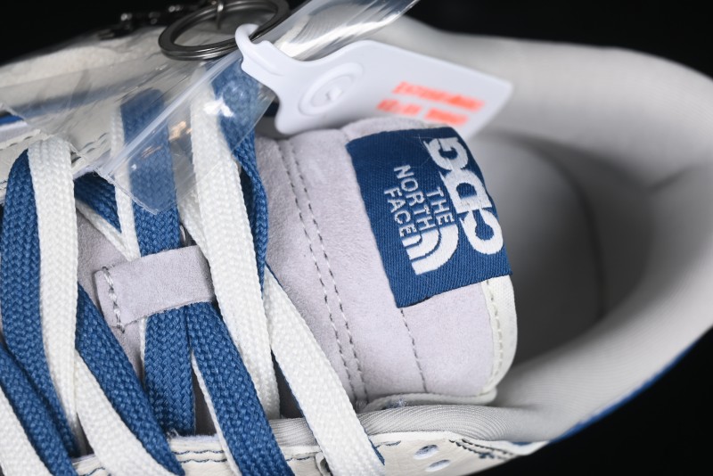 Nike SB Dunk Low The North Face Collaboration Anniversary Edition Customized Low-Top Casual Skate Shoes - DM6868-040