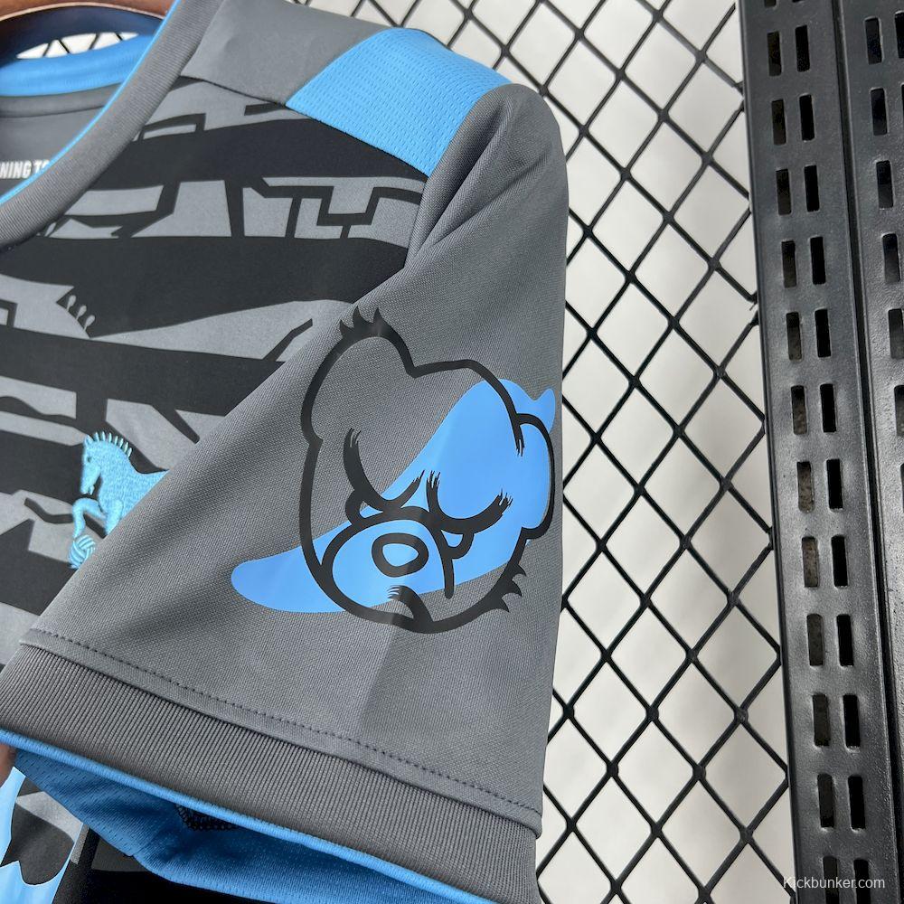 2025/26 Mens Ipswich Town FC Third Jersey