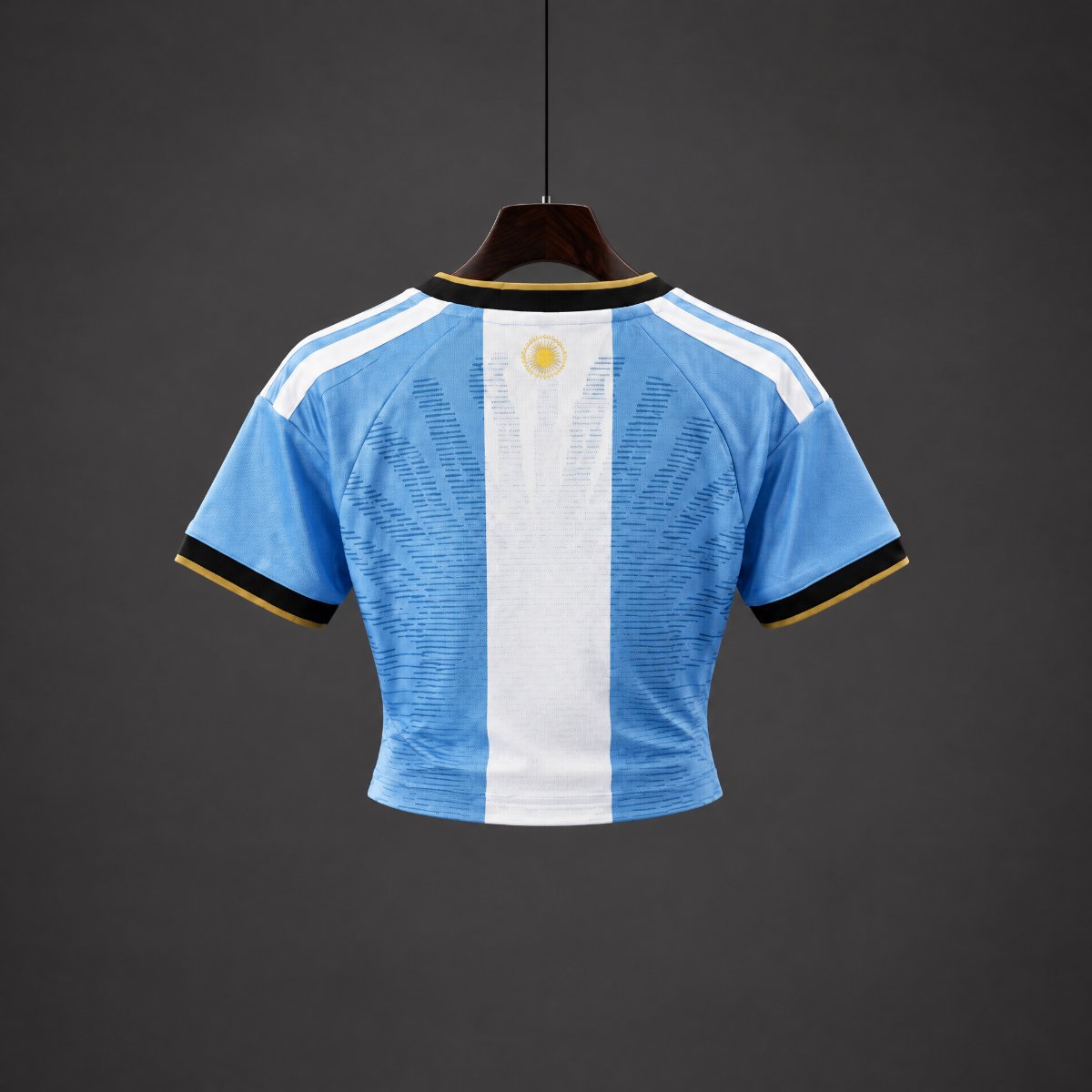 2026 Argentina MESSI Tribute Women Crop Jersey